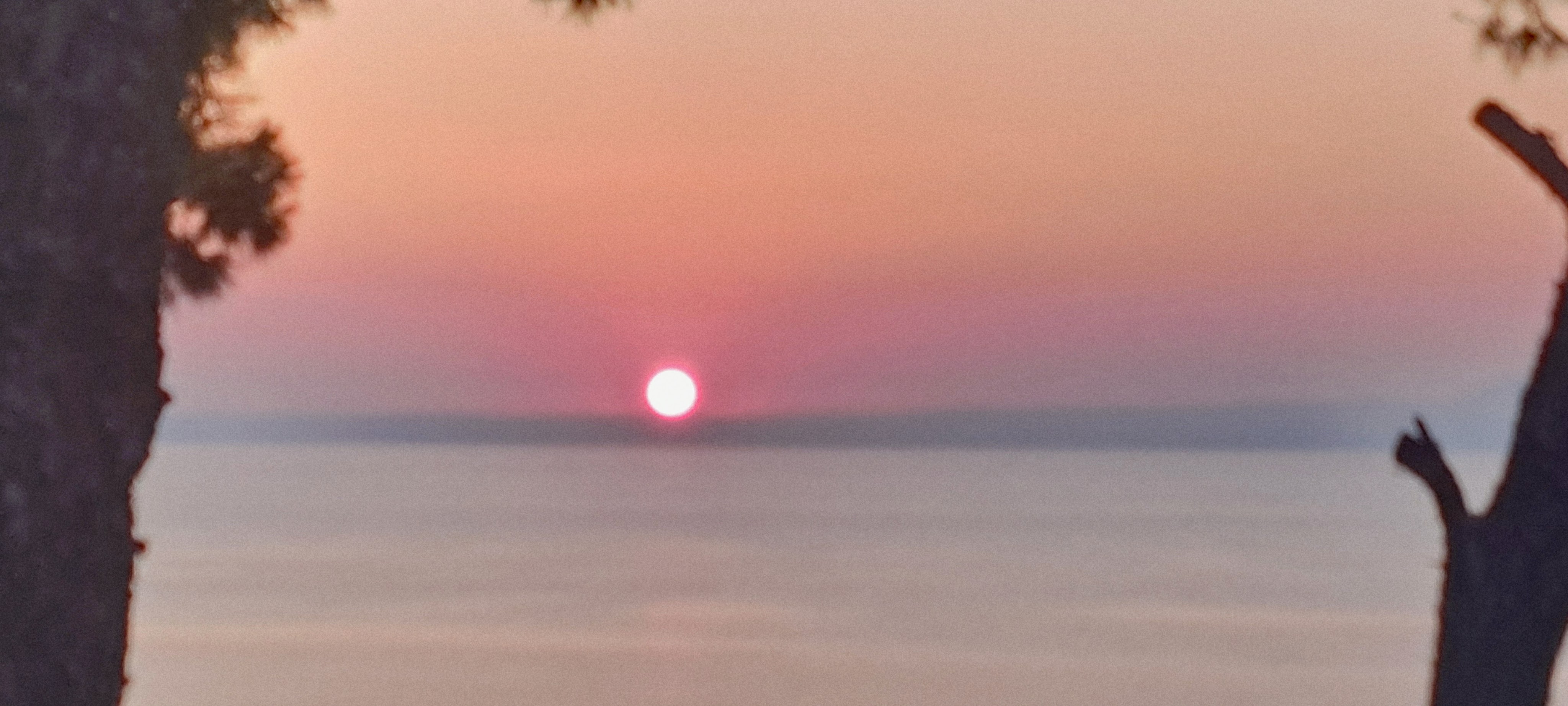 6. Αυγουστιάτικο φεγγάρι-Η κραυγή της πεταλούδας